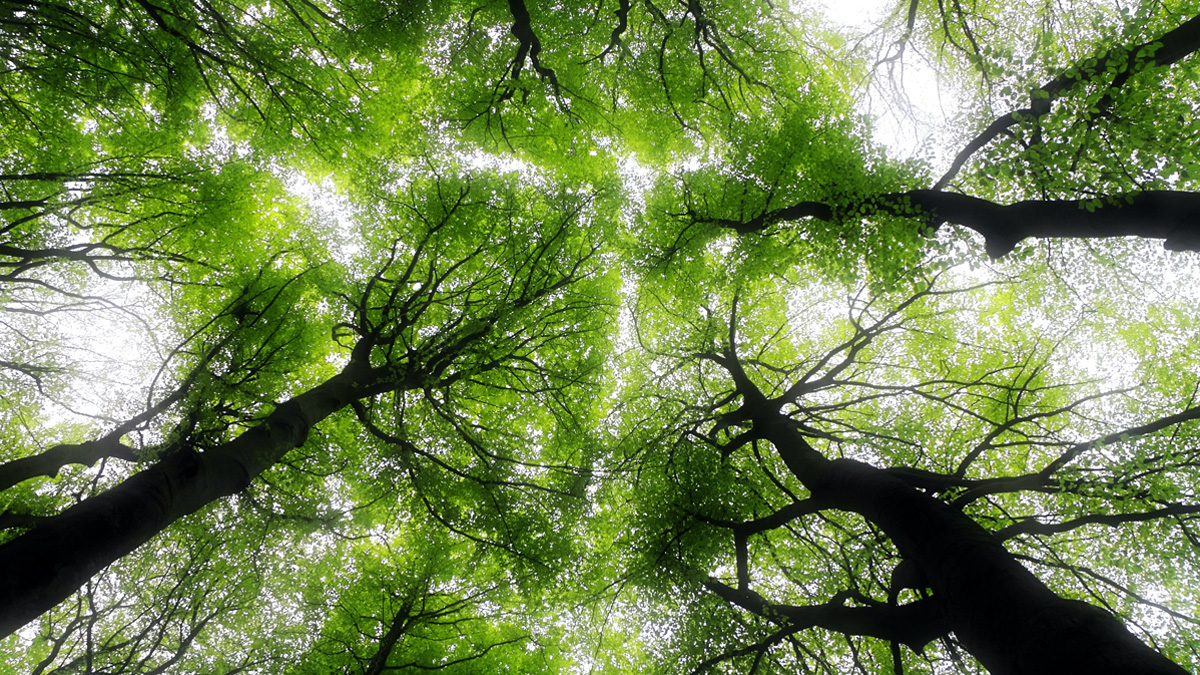 RGS_IBGschools's tweet image. With support from @educationgovuk, we have created a free, online programme for early career (ECT) and trainee geography teachers to help update their subject knowledge.

Explore our modules, from water cycles to global governance: rgs.org/skp

#DfE #ECTs #Trainees