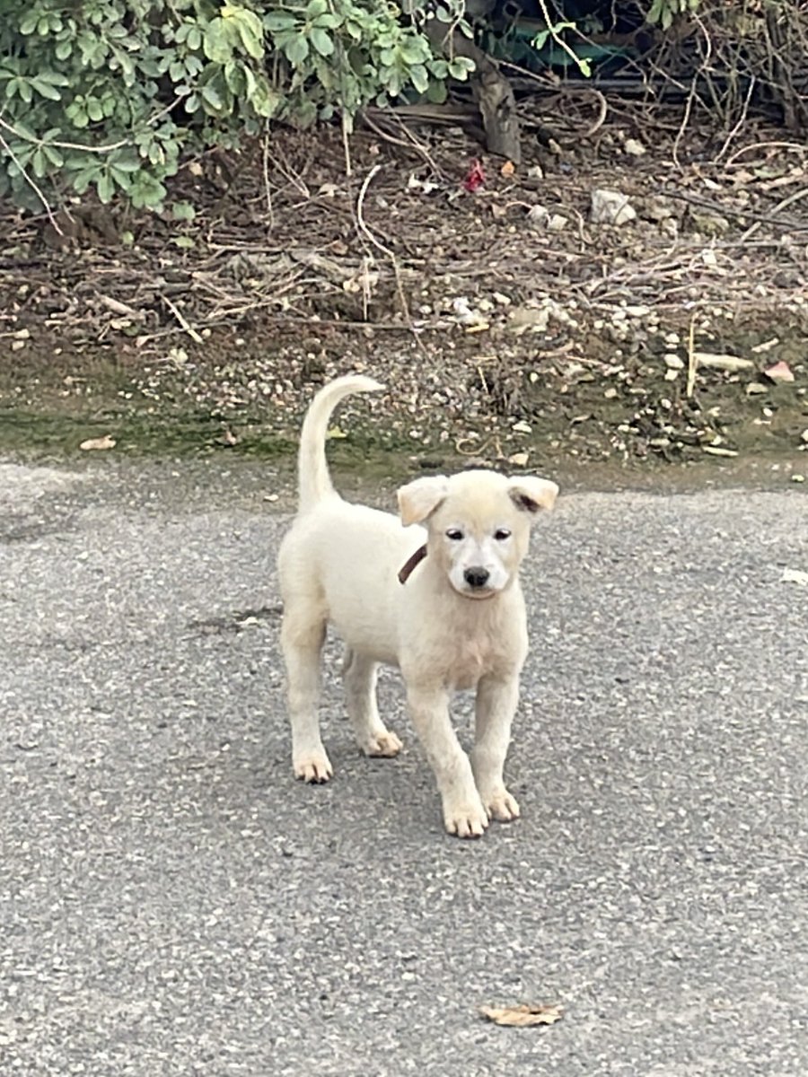 deodeokgui🥕 tweet media