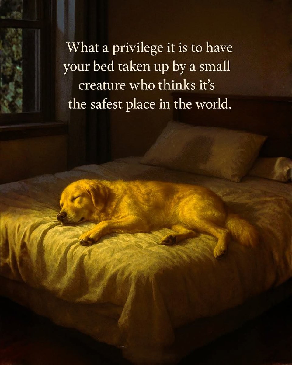 Papa Woof und Krampus und Bleaken tweet media