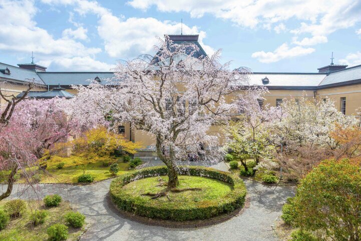 ことりっぷ tweet media