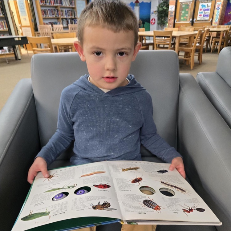 Lake Fenton Schools tweet media