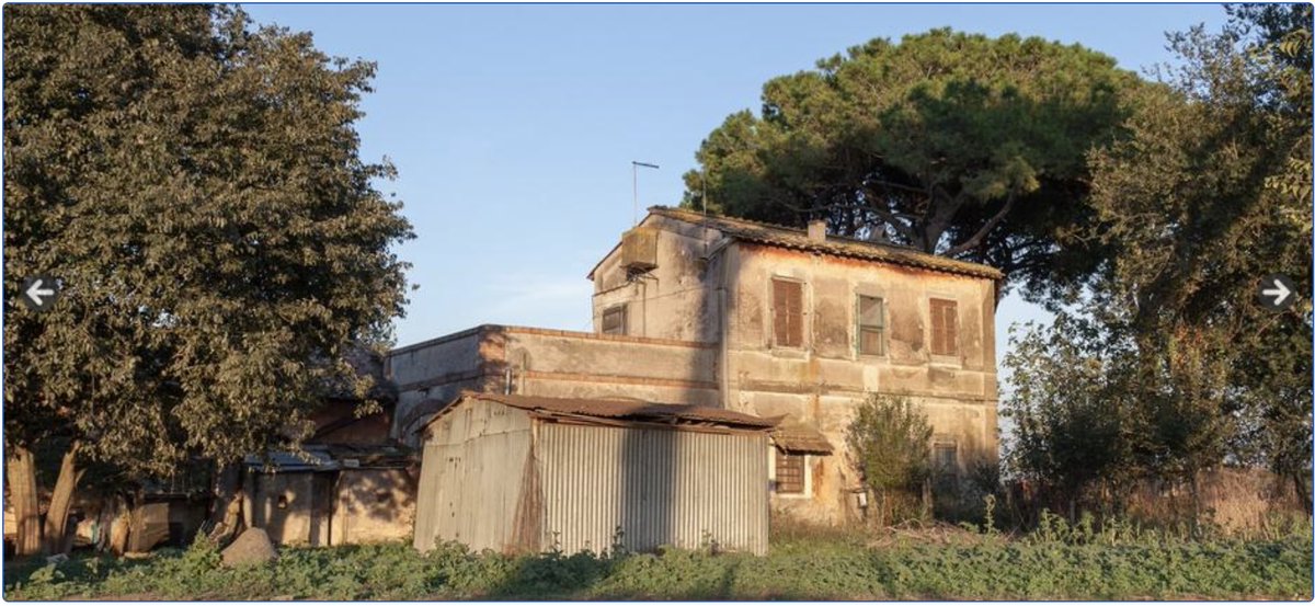 RomaReport tweet media