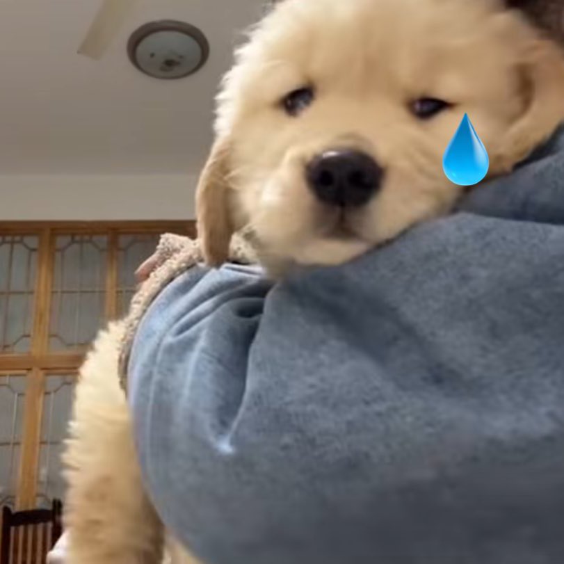 k𝒽wa𝓷 𓍼ོ tweet media