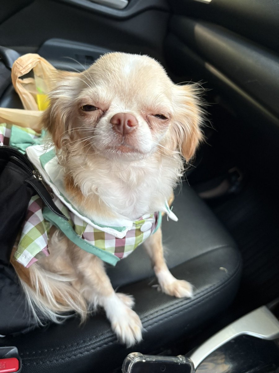 PHONE KUN tweet media