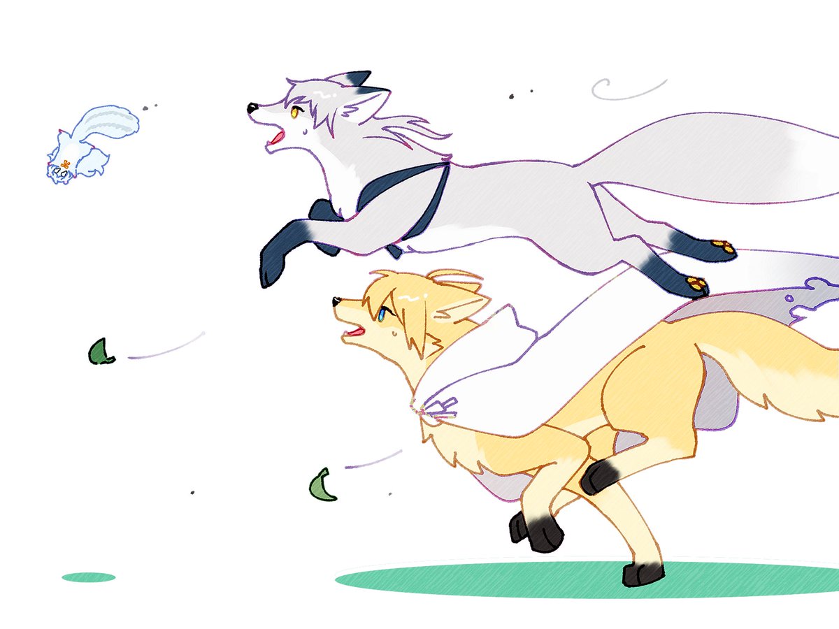 🤍청설모💛 tweet media