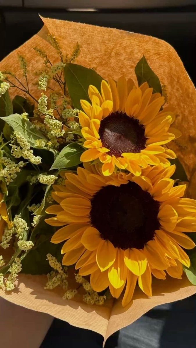 SUNFLOWER 🌻 tweet media