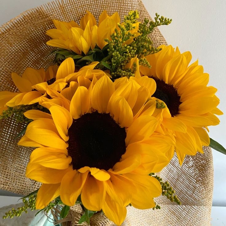 SUNFLOWER 🌻 tweet media