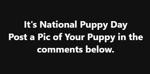 Rod Ryan Show tweet media