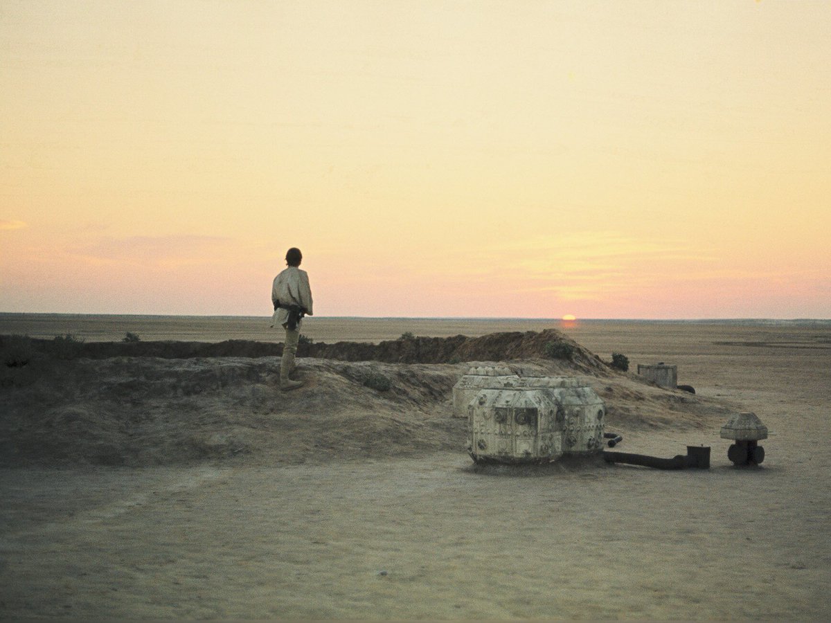 WookieeNews tweet media