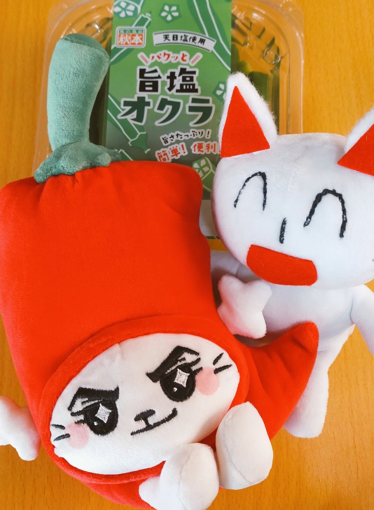 フセサク@ネコ型VTuber🐱 tweet media