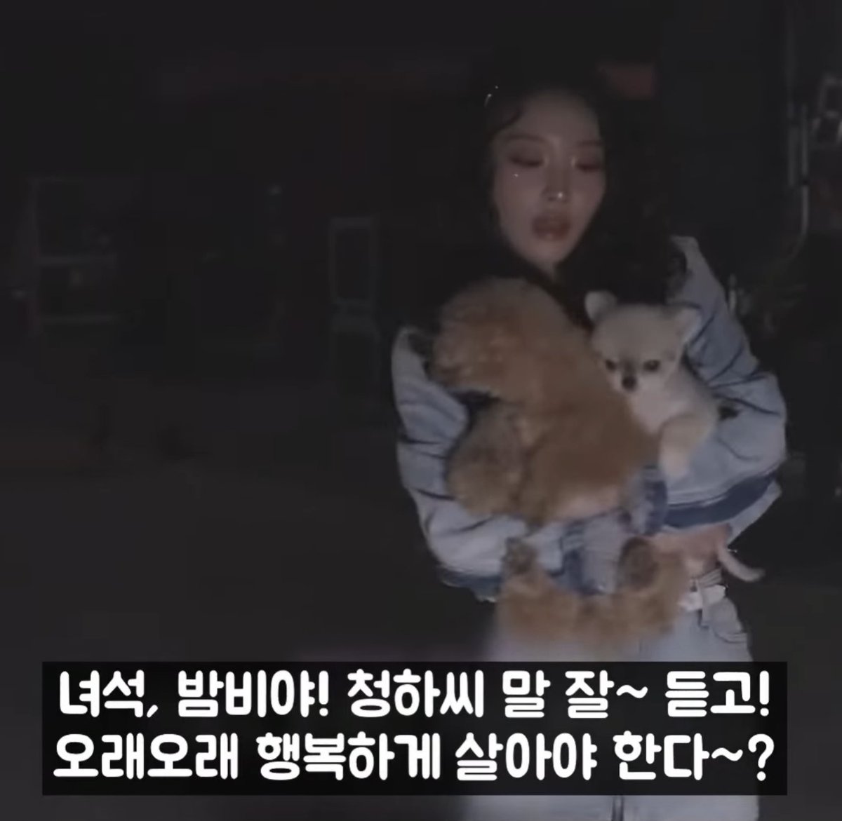 Han🇰🇷 | Youtube@청하하트해 tweet media