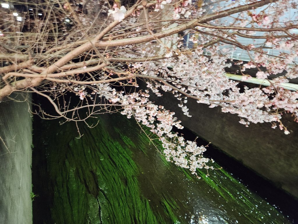 Dr.Gasmask tweet media