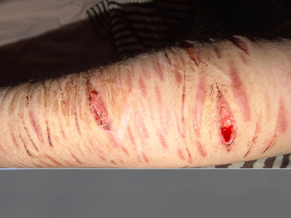 ✧ ⦻ Mori .ᐟ #shedtwt tweet media