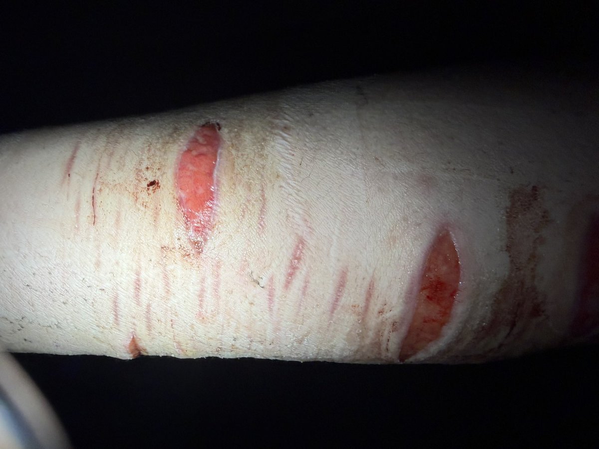 ✧ ⦻ Mori .ᐟ #shedtwt tweet media