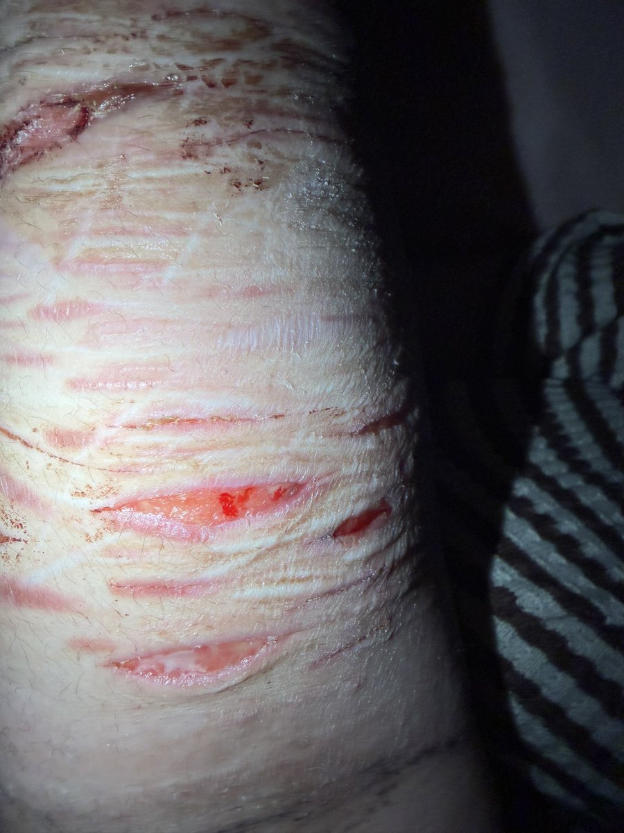 ✧ ⦻ Mori .ᐟ #shedtwt tweet media