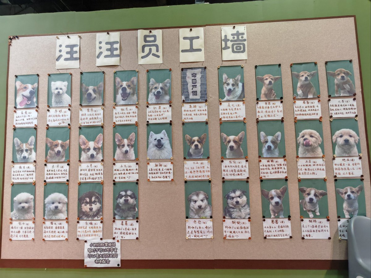 mehmet akif şığva tweet media