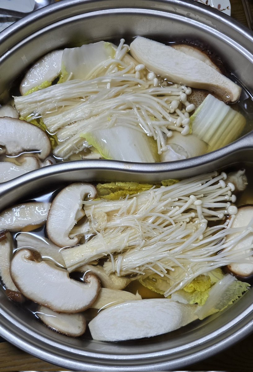 알랑가몰라🐾 tweet media