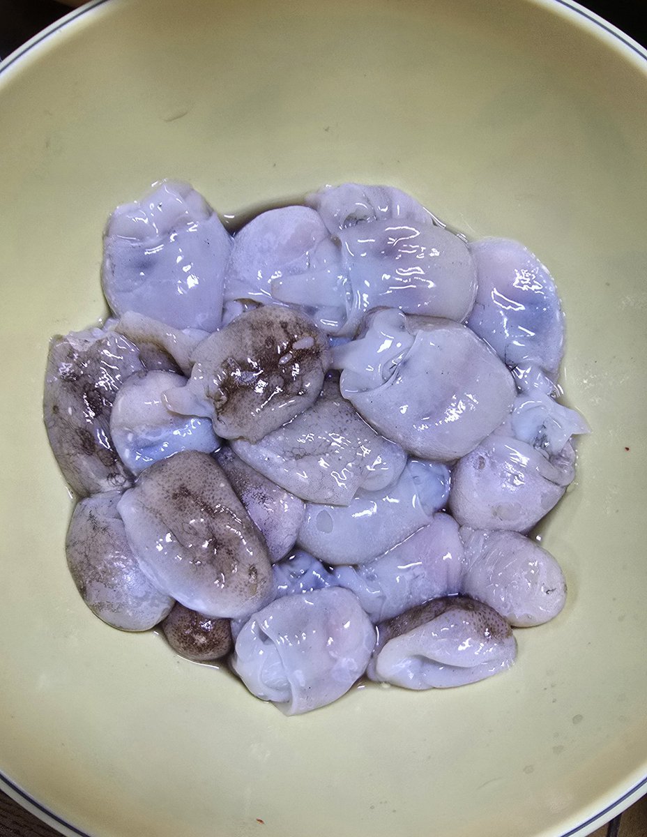 알랑가몰라🐾 tweet media