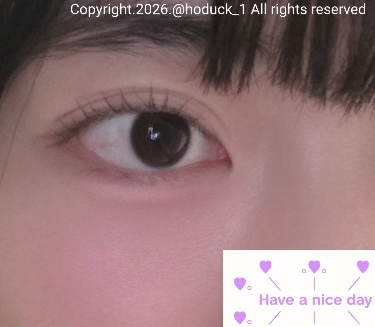 호덕이 tweet media