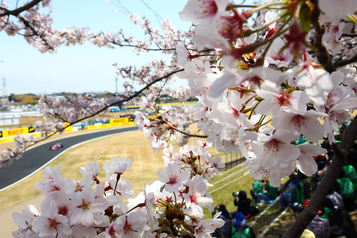 Formula 1 tweet media