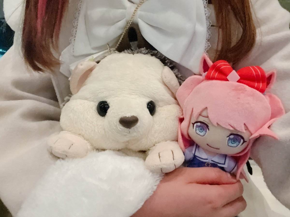 小兎🐰👑❄️@元気です tweet media