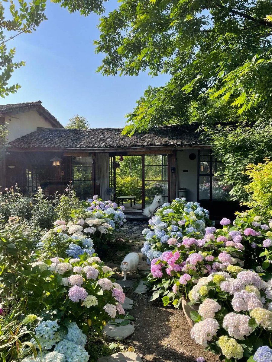 şöyle bir sakinlik tweet media