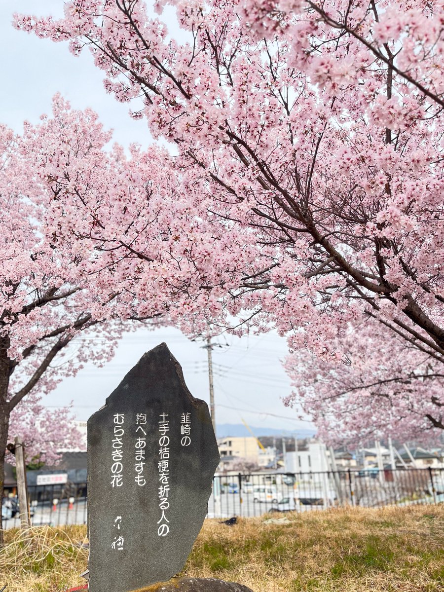 Blossoms' fun space tweet media