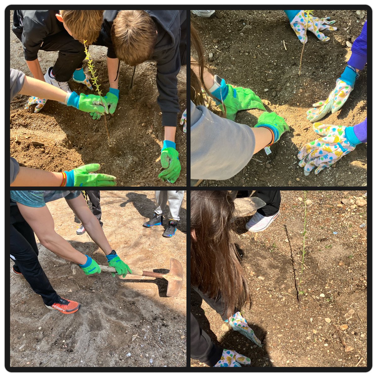 silvia lopez tweet media