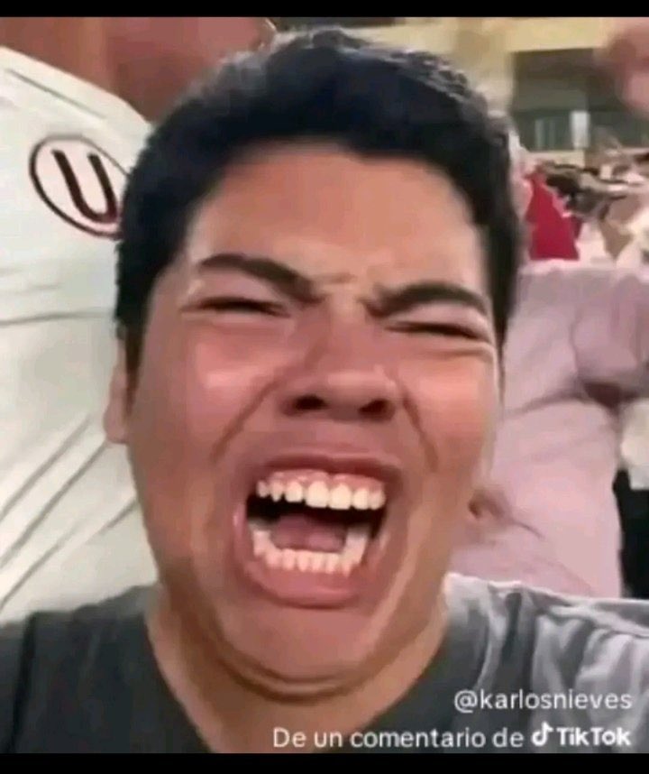 Timeline tweet media