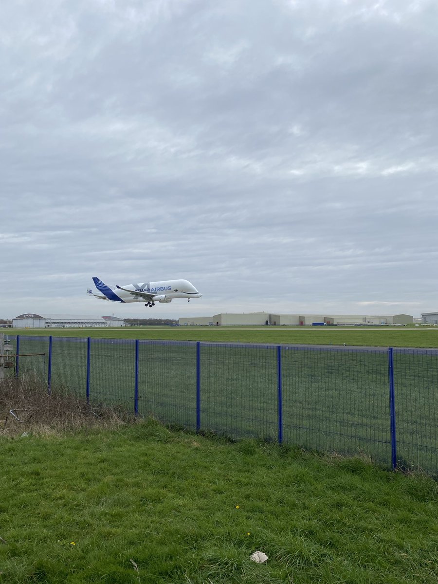 RichSeal_'s tweet image. Plane spotting !  ✈️  #BelugaXL