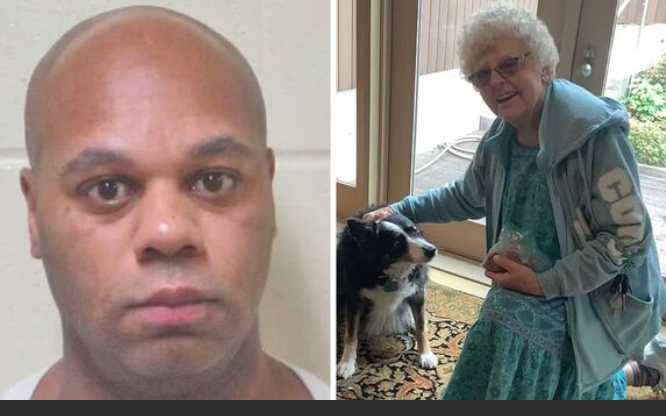 Alex Berenson tweet media