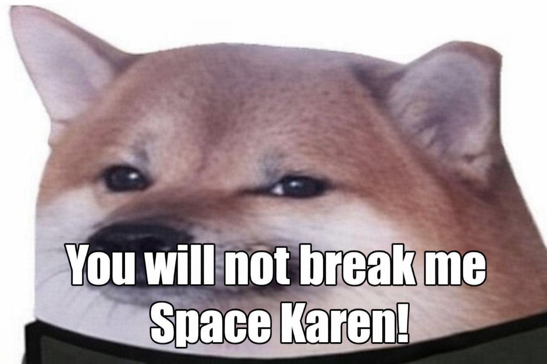 pew pew jewish space lasers tweet media