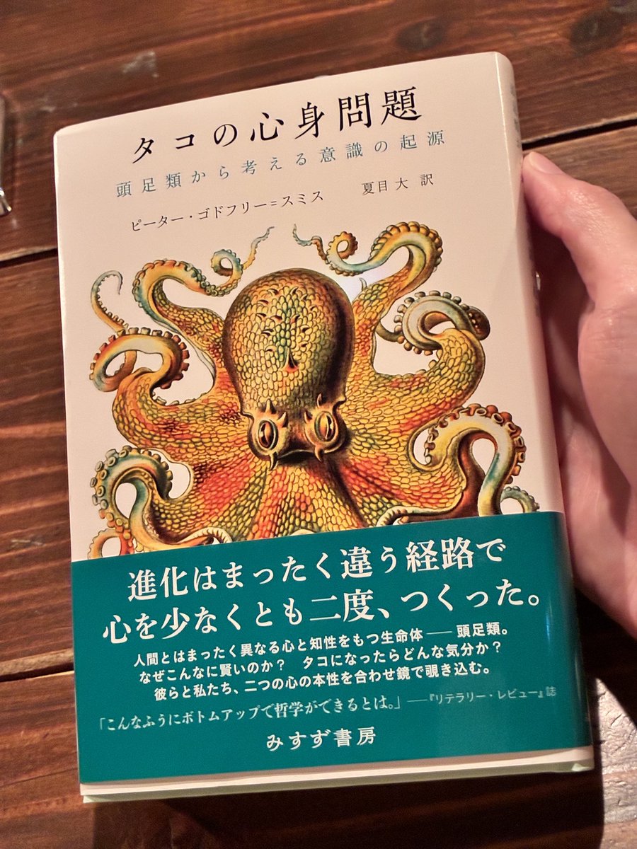 きよりん tweet media