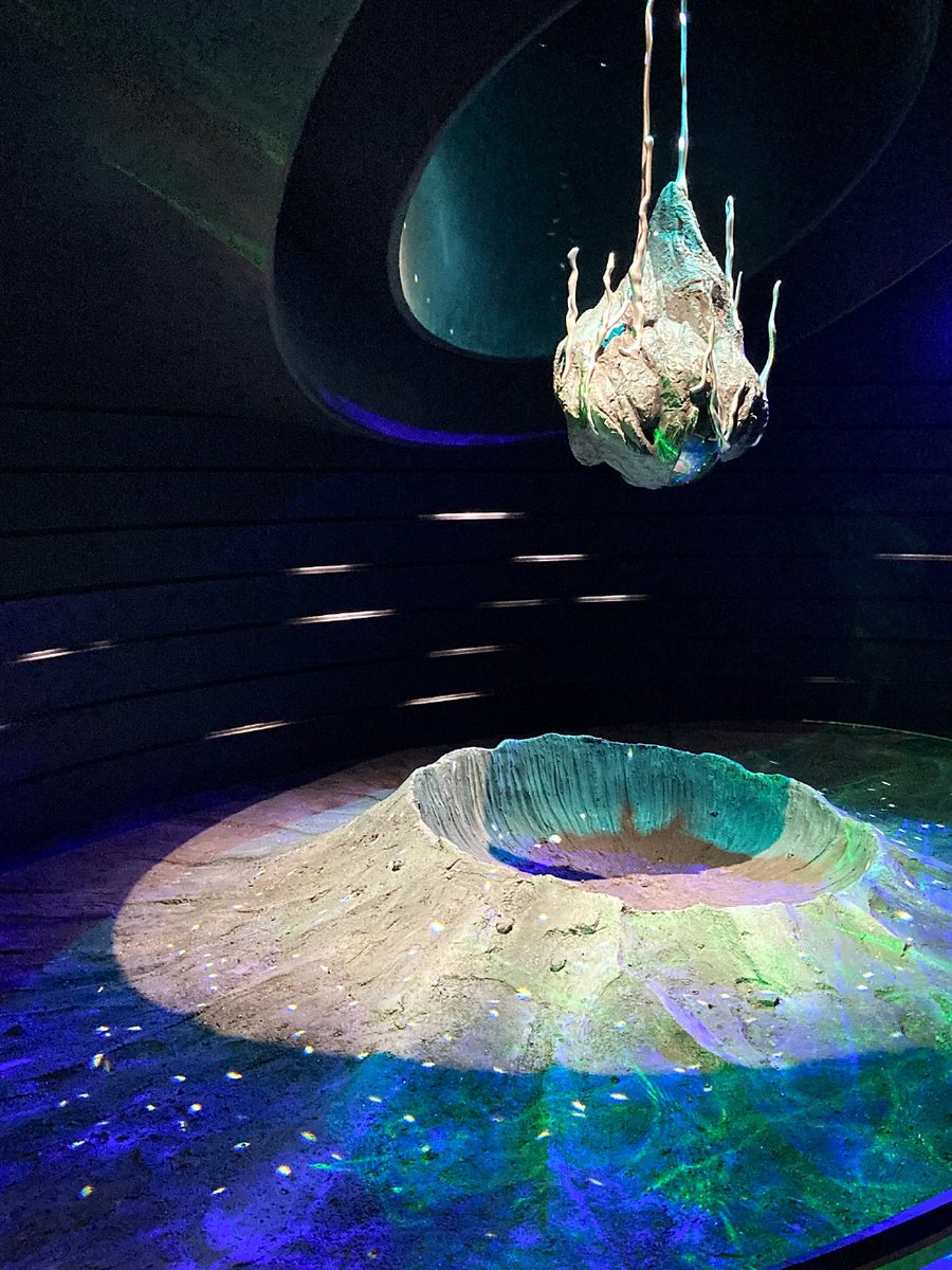 Igor Bola tweet media