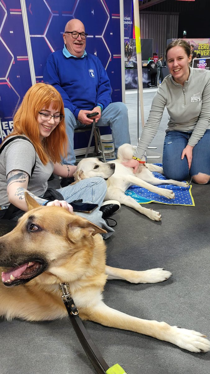 IGFest Puppy Appeal tweet media