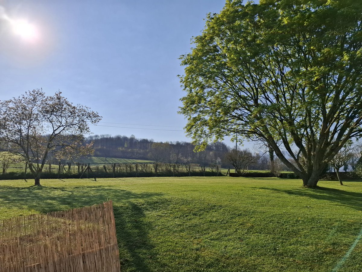 Dimitri Voiturin tweet media