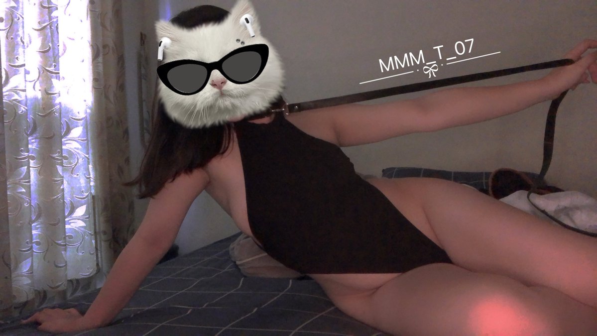 MMM_貓咪 tweet media