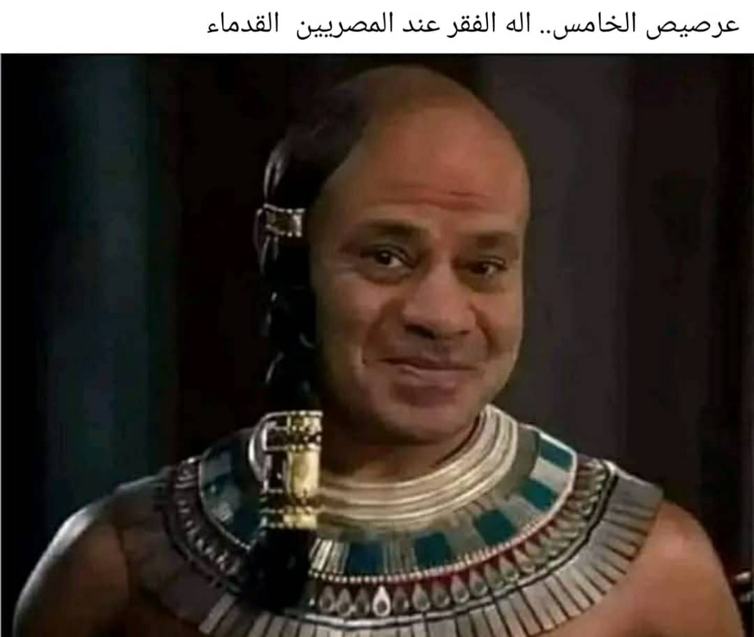 امية tweet media