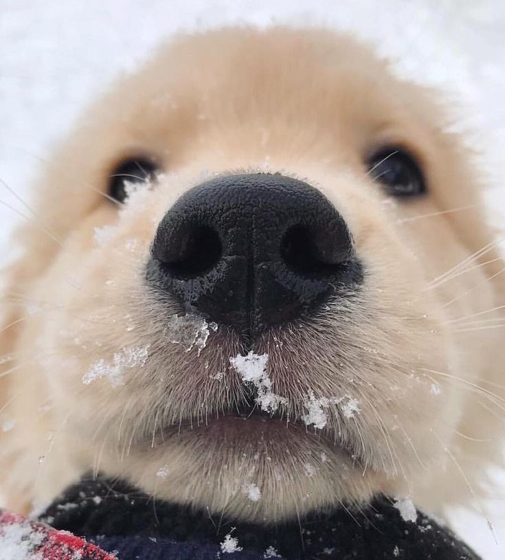 무이 🐢 tweet media