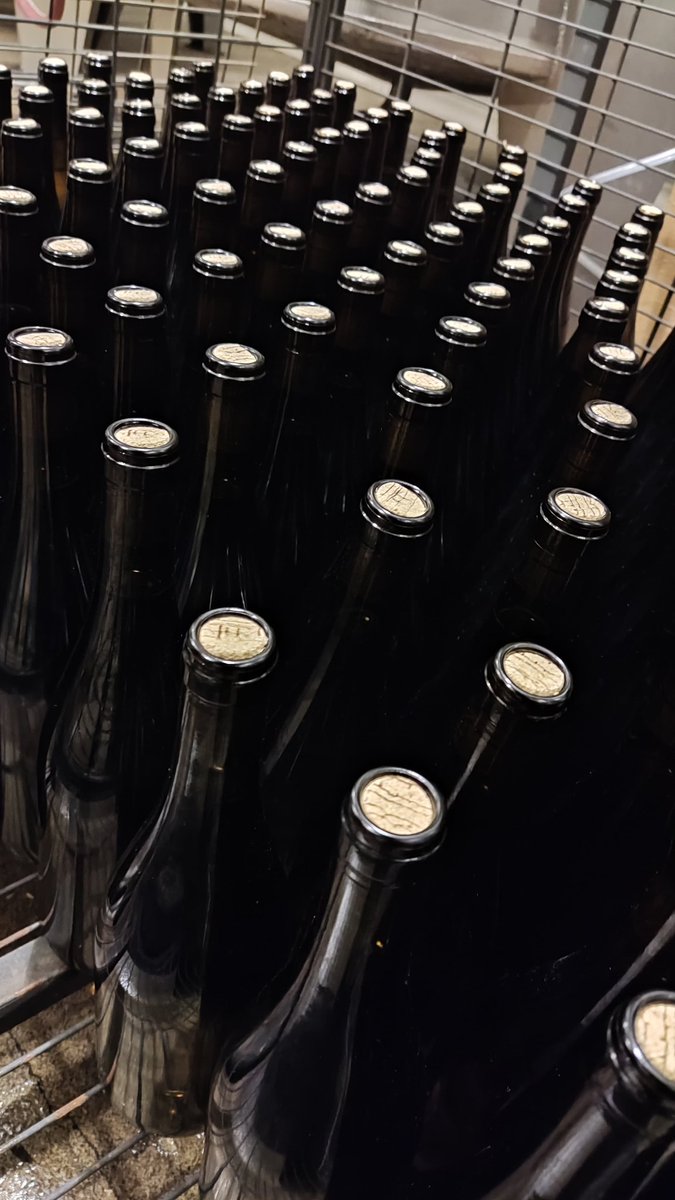 Raul Moreno Sola tweet media