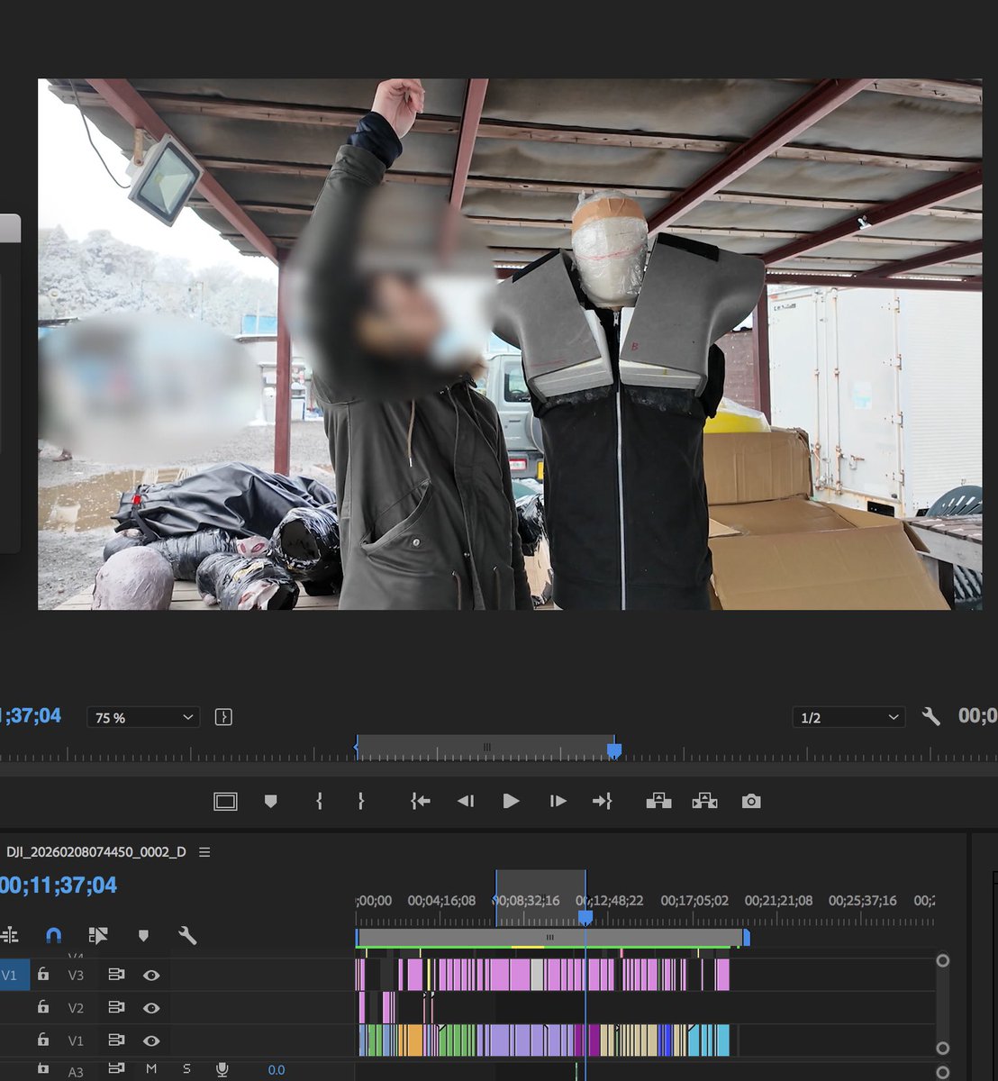 RE:D ［り:でぃ］バイオ創作動画 新作 公開中🎞️ tweet media