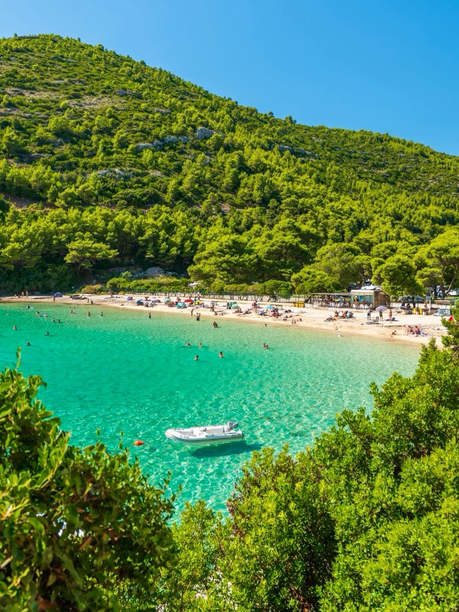 Croatian Nation 🇭🇷🇻🇦 tweet media