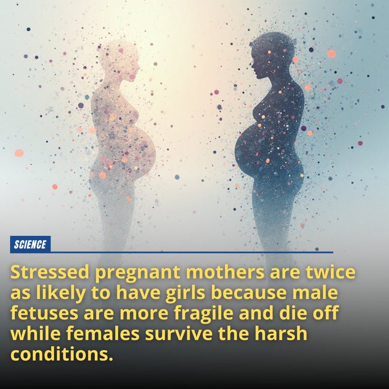 Interesting STEM tweet media