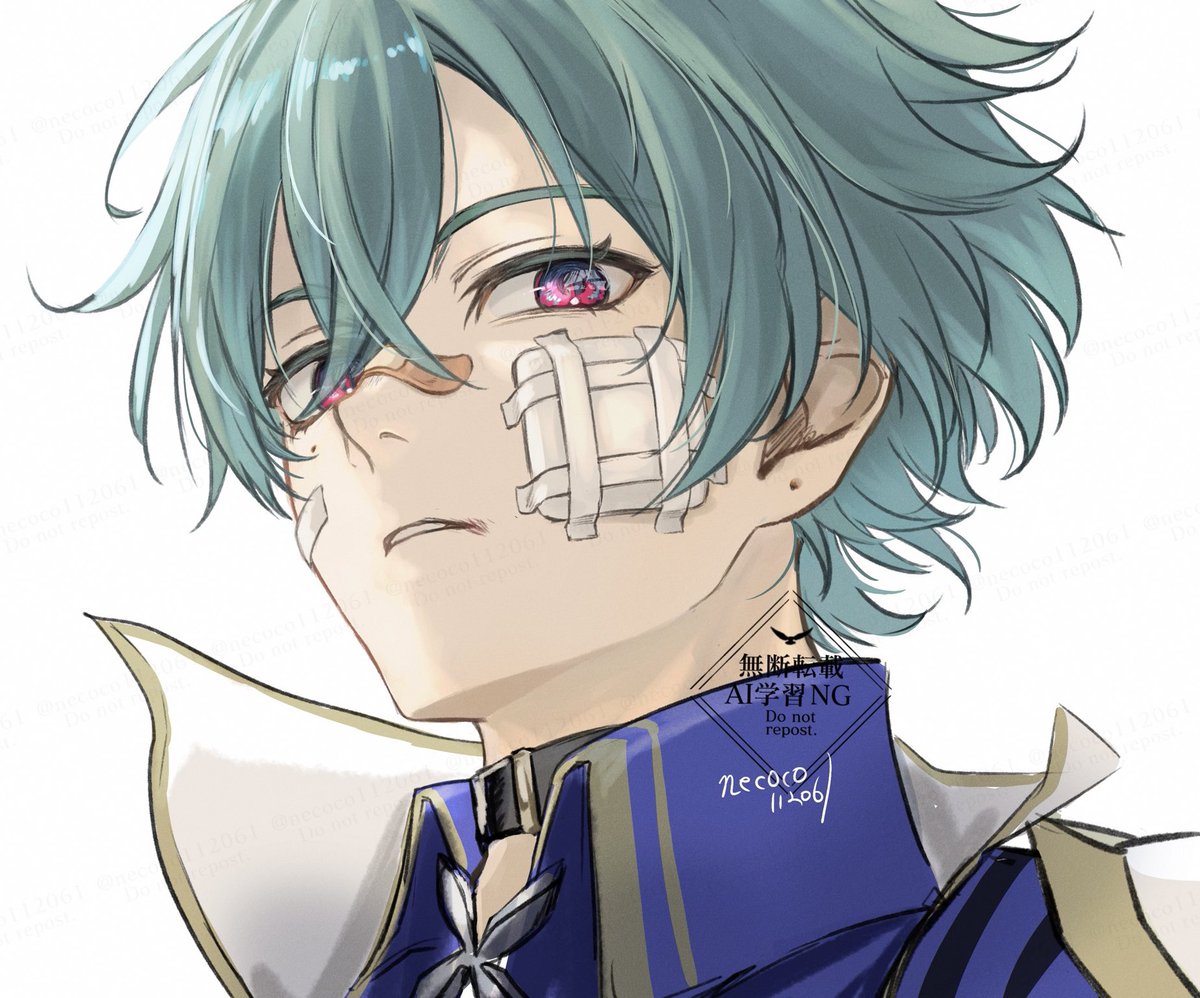 ねここnecoco😺 tweet media