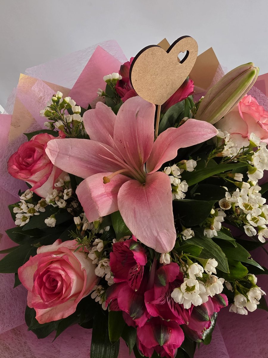 Isidora Kovačević tweet media