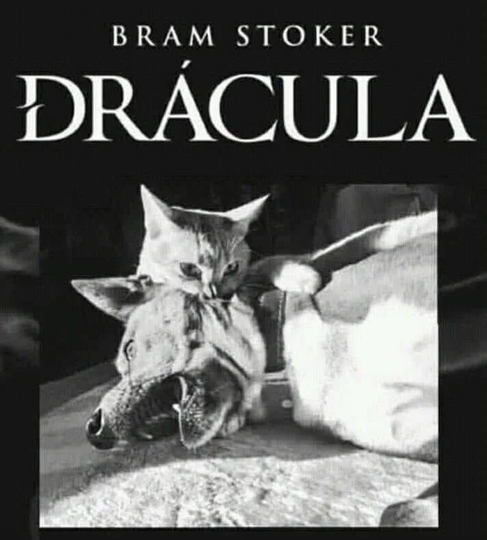 House of Dracula (☥𝐃𝐁) tweet media