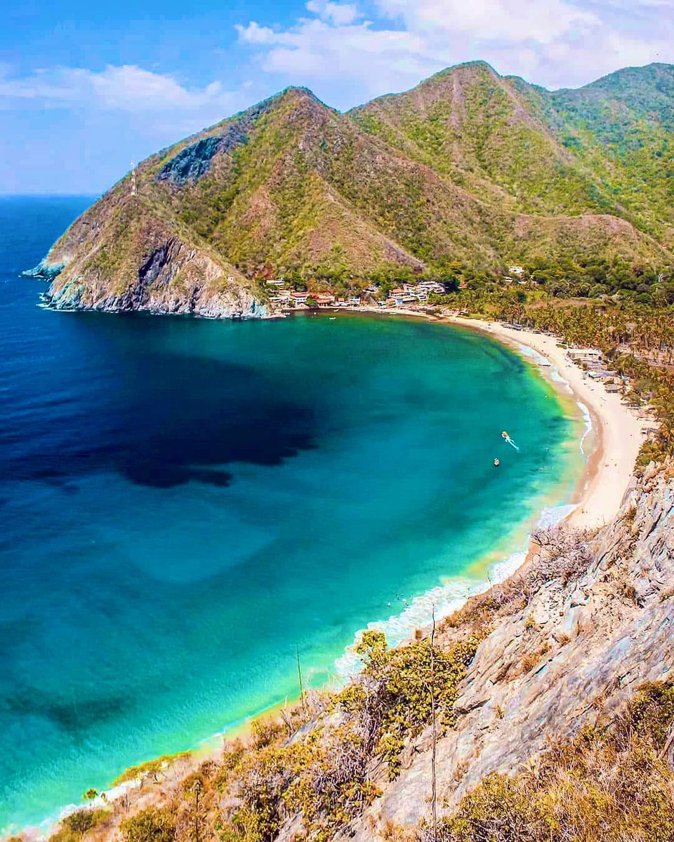 Gianluca Cocconcelli Art tweet media