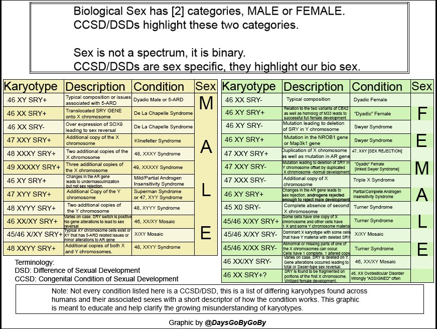 Stewart Proper tweet media