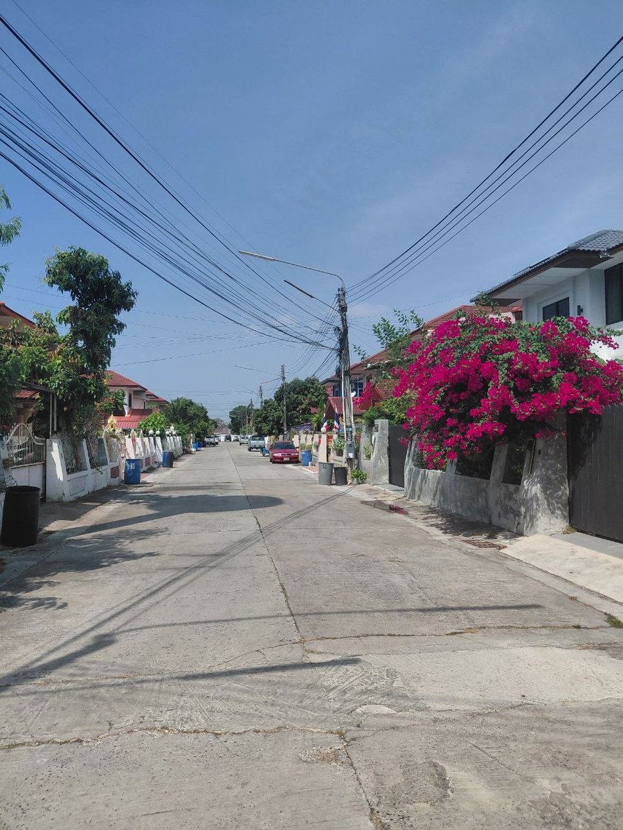 4 months ago, I realized I needed a change, so I moved from Russia to Thailand. no regrets.

now I live in a Thai village (picked a spot far from tourists to integrate faster and start learning the language), and honestly? I'm loving it.

roosters crowing, cows grazing, no city