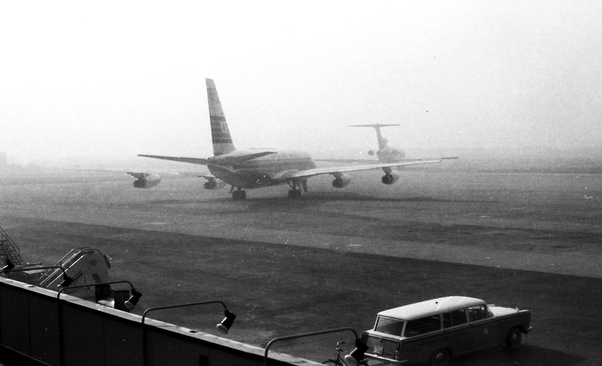 ＧＤＴ tweet media